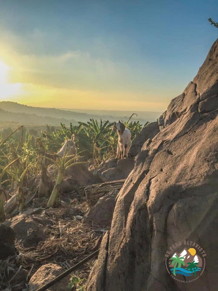 Mirador rocoso del predio al atardecer, con milpa y selva alrededor