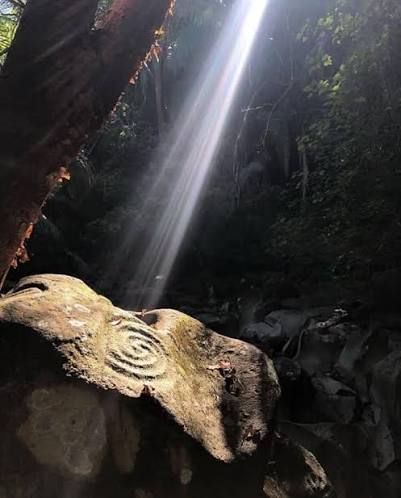 Petrograbado en piedra iluminado por un rayo de luz entre el follaje